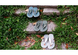 Khác biệt trong từng bước chân cùng dép kẹp nam Sneaker Buzz