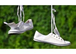 Cách khắc phục giày Vans trắng bị ố vàng sau khi giặt 