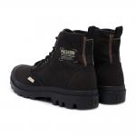 Palladium Pampa Michigan