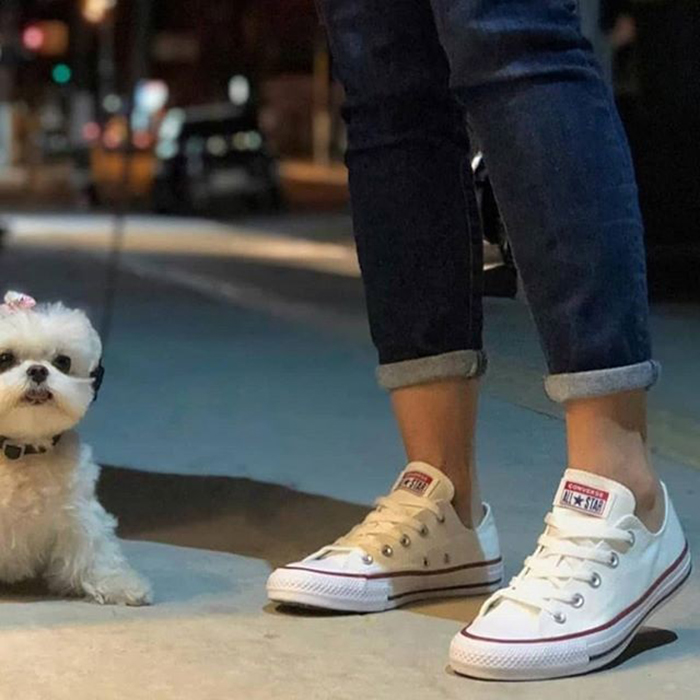 Tại sao bạn nên sở hữu ngay một đôi giày Converse chính hãng cực chất?