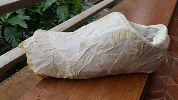 Học ngay cách giặt giày Vans trắng không bị ố vàng nhanh, gọn, hiệu quả